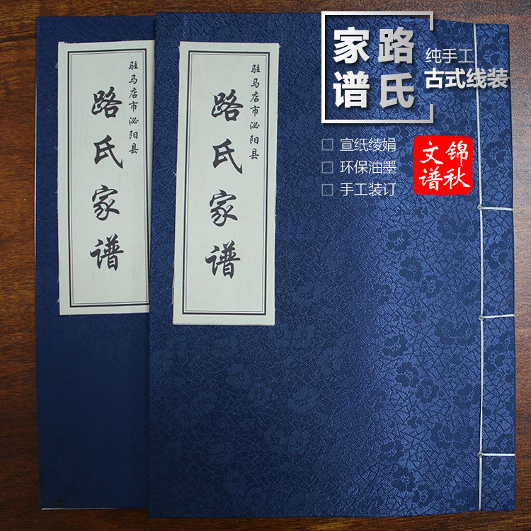 駐馬店泌陽縣路氏家譜樣本綾絹封面