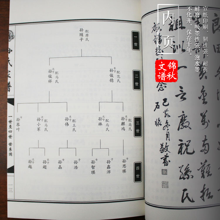 甘肅省禮縣寬川鄉(xiāng)大樹村孫氏家譜宣紙內(nèi)頁(yè)