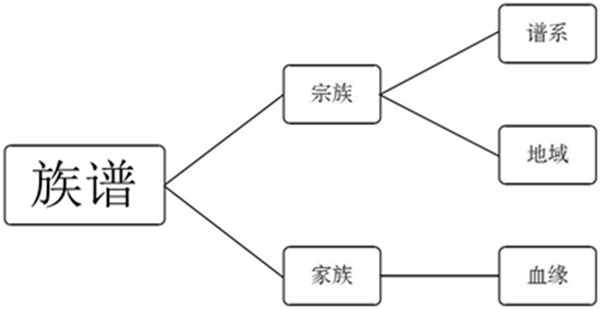 族譜制作要素點