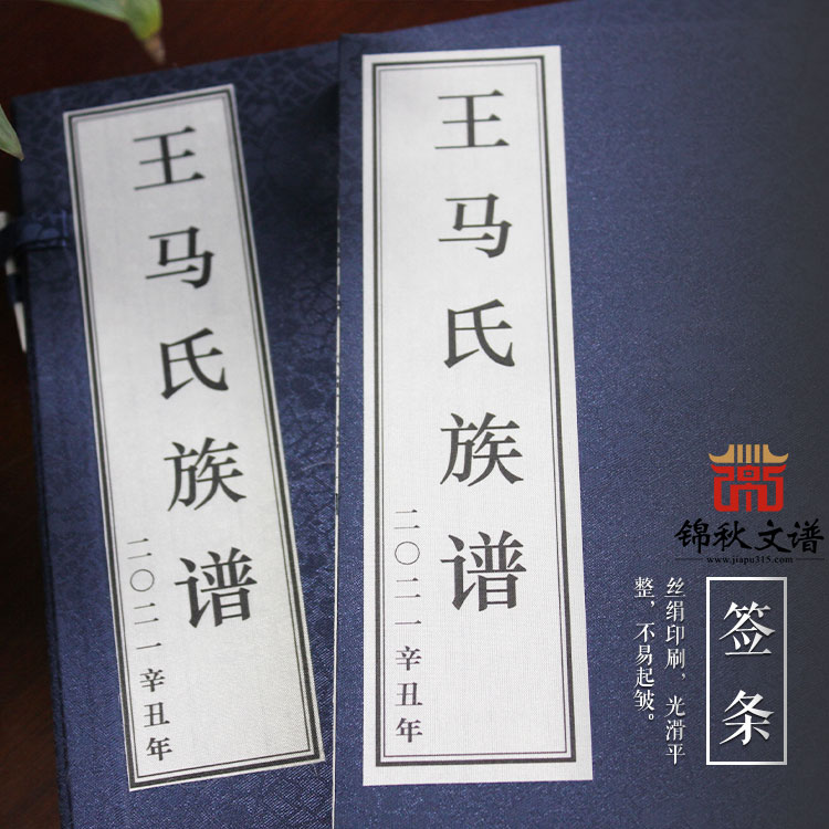 大定府水西——《王馬氏族譜》于辛丑年完成編修