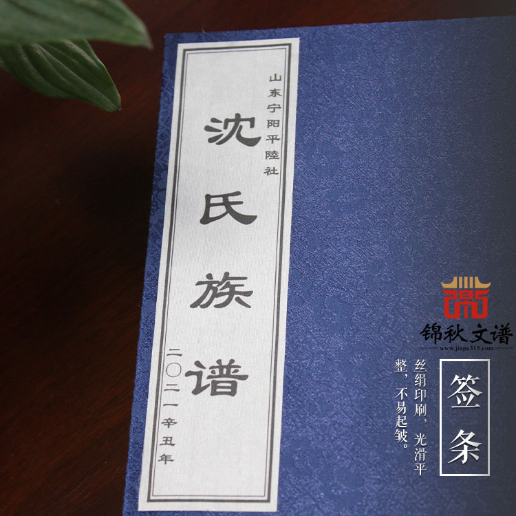 山東寧陽(yáng)平隆社《沈氏族譜》二〇二一辛丑年修